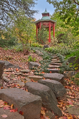 風景 自然 森 道 写真