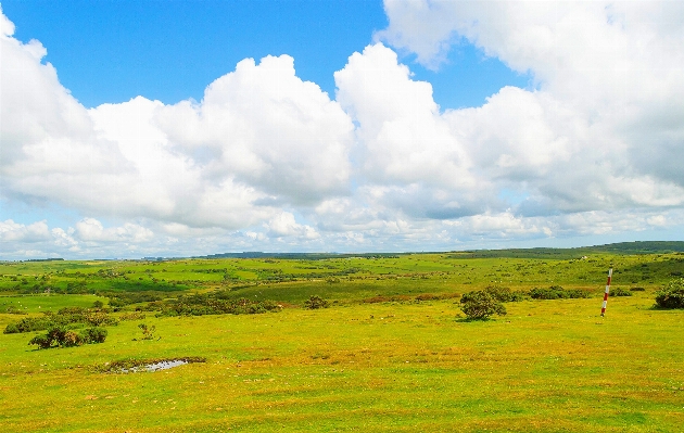 Landscape grass horizon marsh Photo