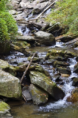 Landscape tree water nature Photo