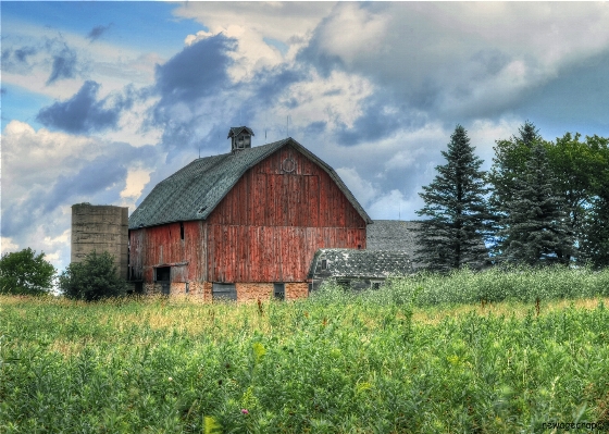 Tree mountain field farm Photo