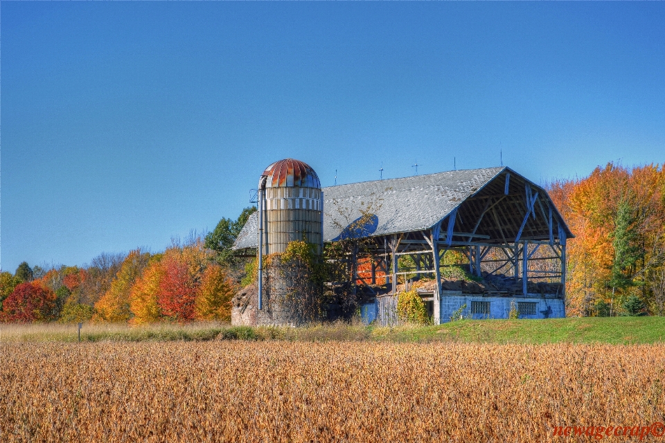 Feld bauernhof wiese
 prärie
