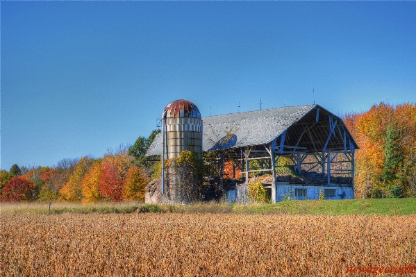 Field farm meadow prairie Photo