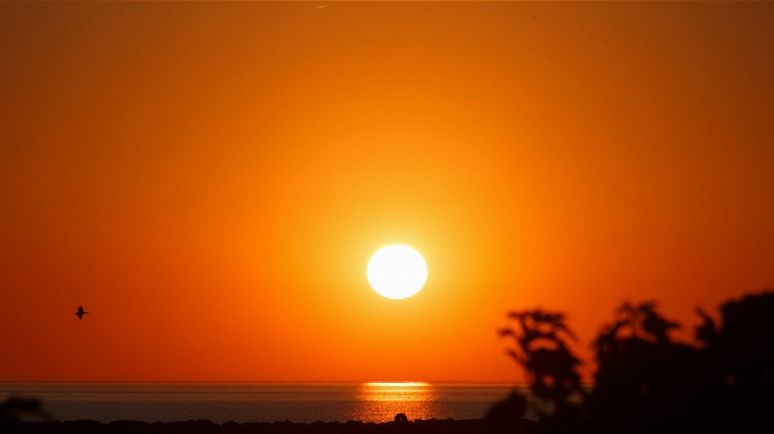 水 地平線 空 太陽 写真