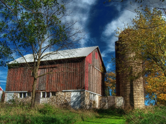 Tree architecture farm house Photo