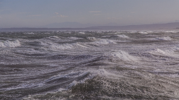 Beach sea coast water Photo