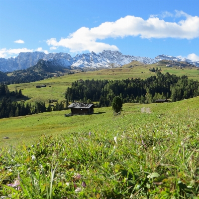 Landscape grass wilderness mountain Photo