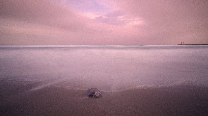 Beach sea coast water Photo