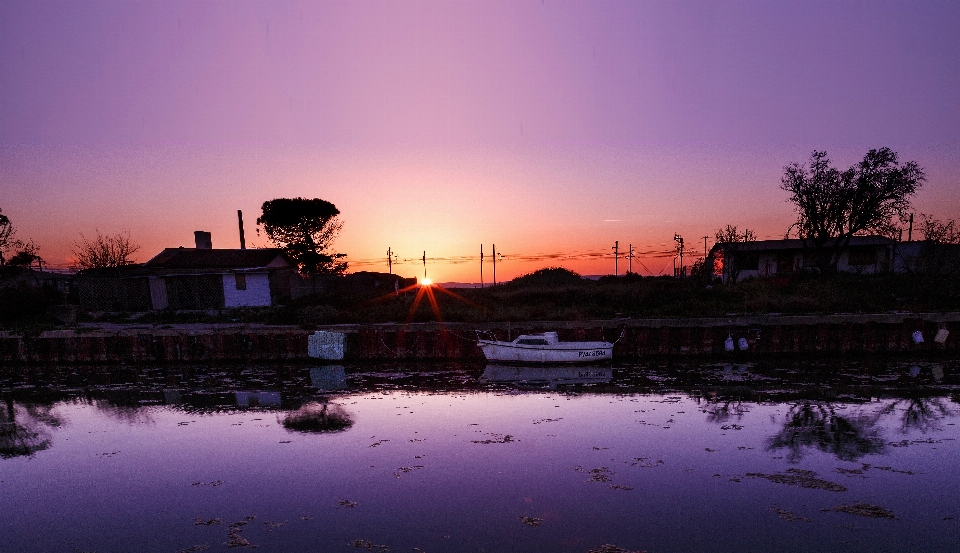 Paesaggio albero acqua natura