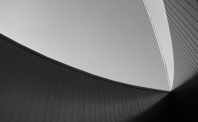 Wing light abstract black and white Photo