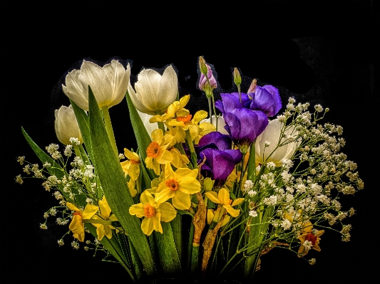 Blossom plant flower petal Photo