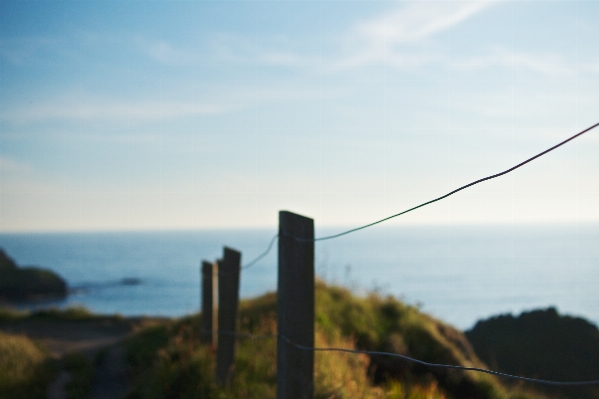 Beach sea coast grass Photo