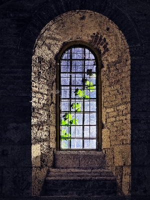 Rock light architecture vine Photo