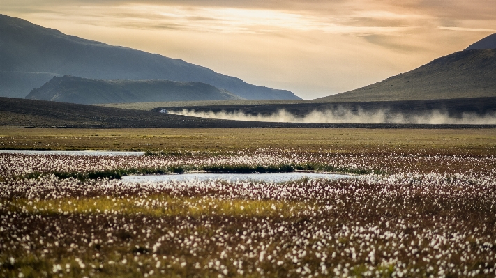 Landscape nature grass horizon Photo