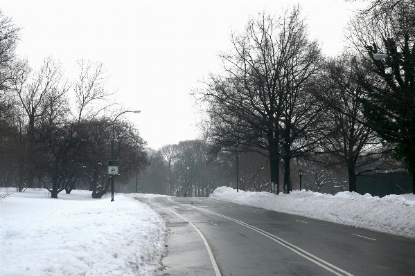 雪 冬 道 ニューヨーク
 写真