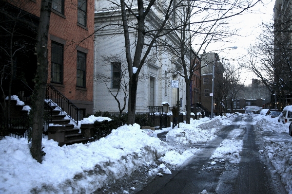 Tree snow winter street Photo