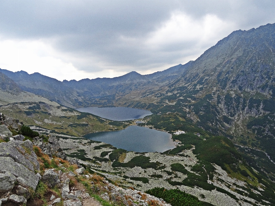 Krajobraz drzewo natura las