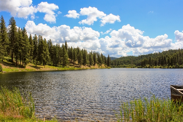 Landscape tree water nature Photo