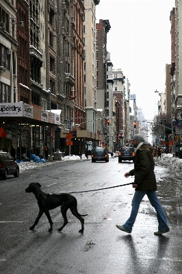 Pedestrian snow winter road Photo