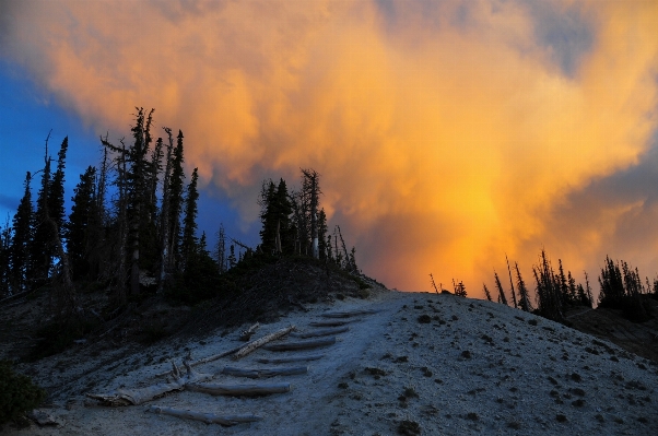 Landscape nature forest wilderness Photo