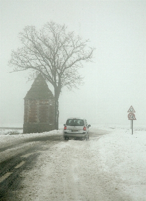 Tree snow winter fog Photo