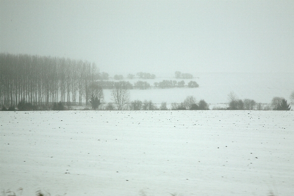 Snow winter morning weather Photo