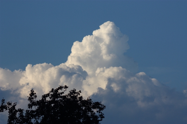 Cloud sky sunlight atmosphere Photo