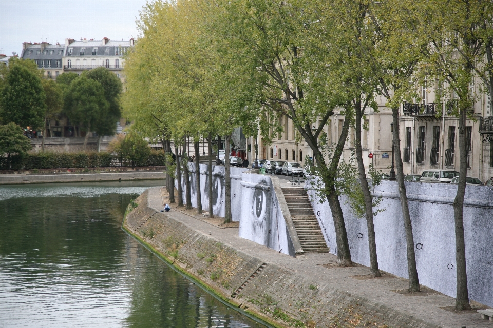 árvore água fotografia paris