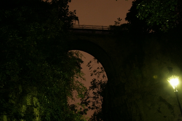 Baum natur licht brücke Foto