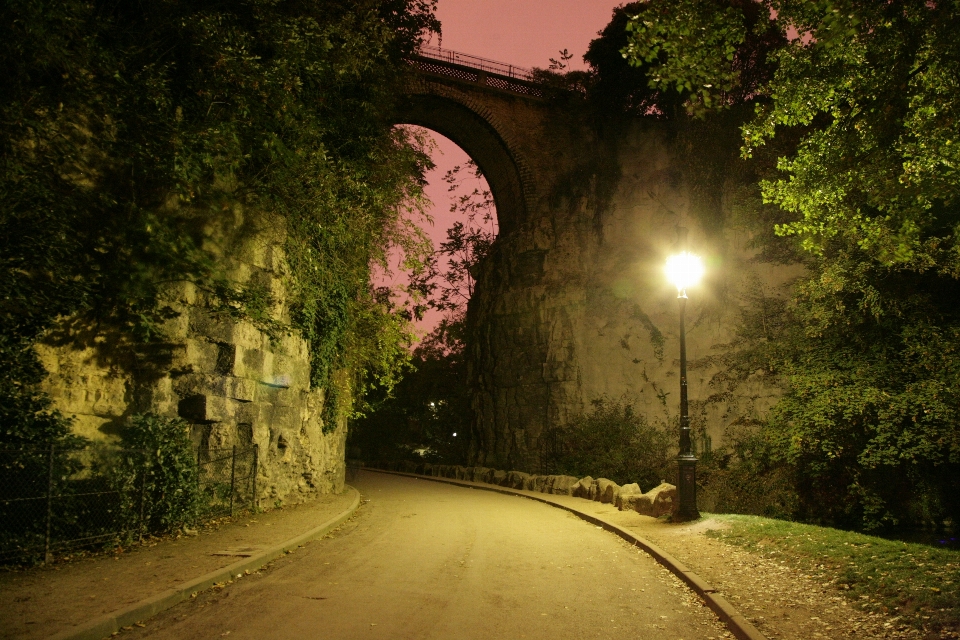 Pohon alam rumput lampu