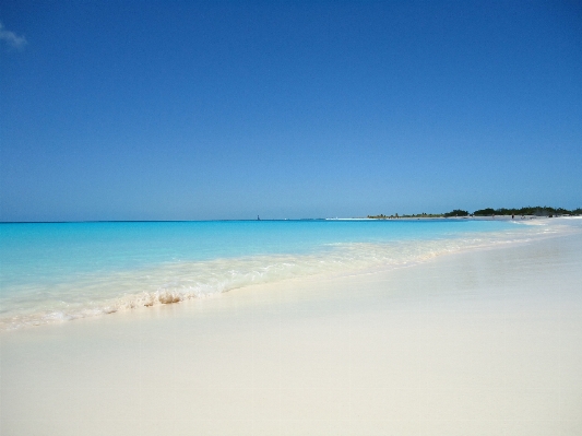 Beach sea coast sand Photo