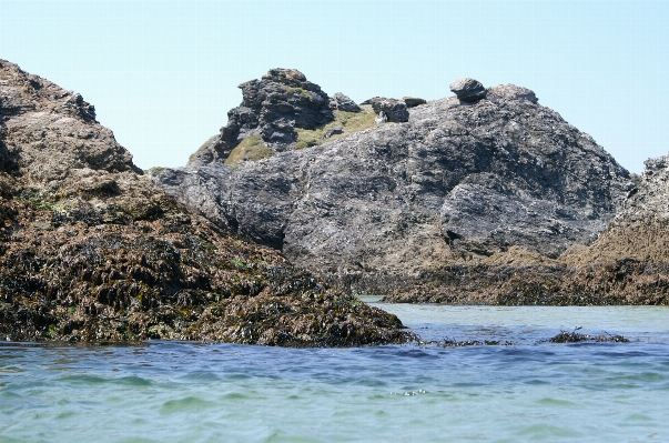 Foto Pantai laut pesisir rock