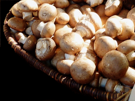 Foto Alam putih makanan menghasilkan