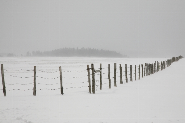 Foto Neve frio inverno névoa