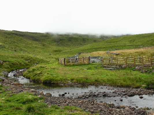 Foto Paisagem pântano
 montanha campo