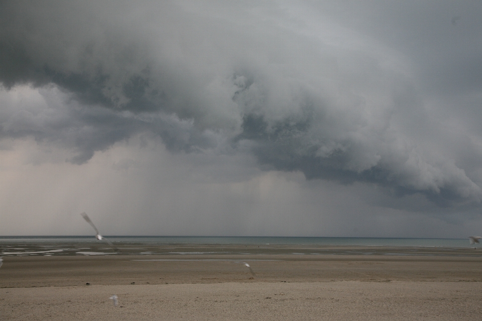 Meer wolke welle wind