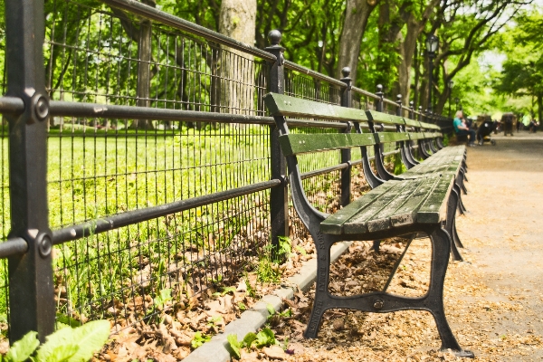 Foto Recinzione fiore manhattan passerella