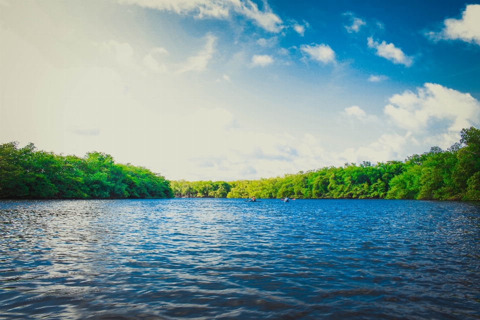 Paisagem árvore água natureza