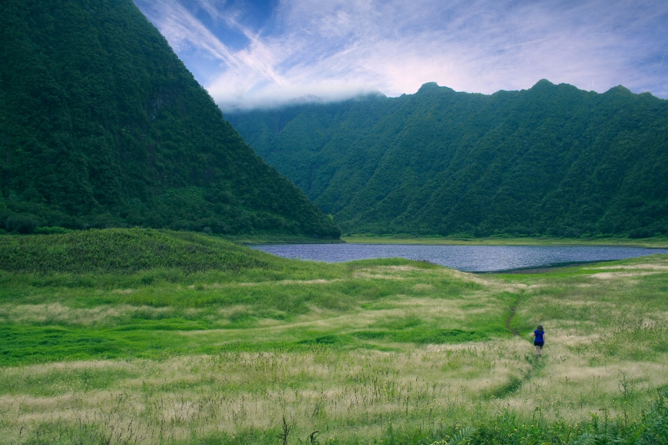 Paysage eau nature herbe