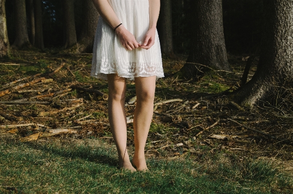 Nature forest grass shoe Photo