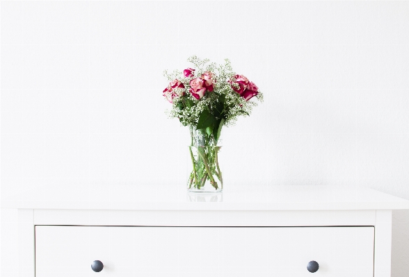 Table white flower petal Photo