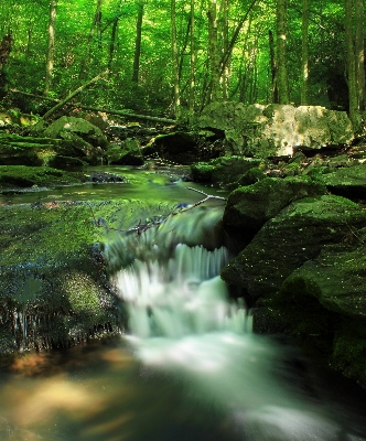 Landscape tree water nature Photo