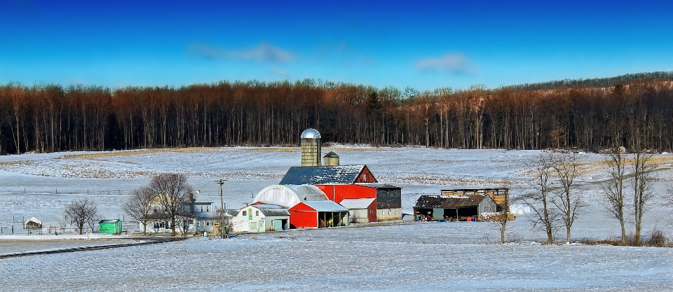 Paisagem neve inverno fazenda