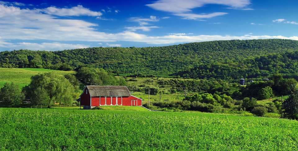 Landschaft gras berg himmel