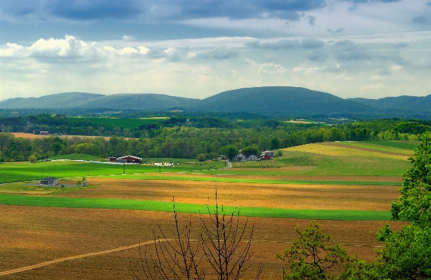 Landscape nature grass horizon Photo