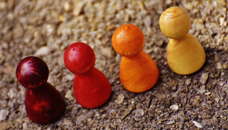 Anlage holz spielen blatt