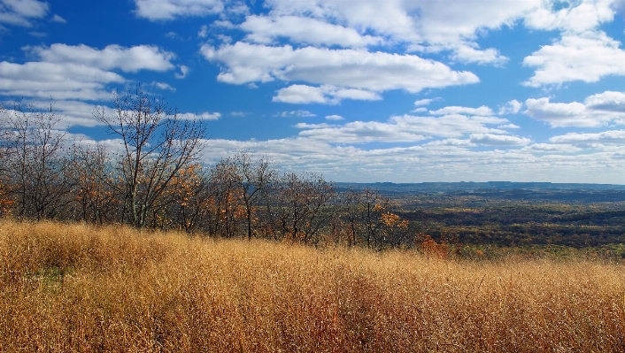 Landschaft baum natur wald Foto