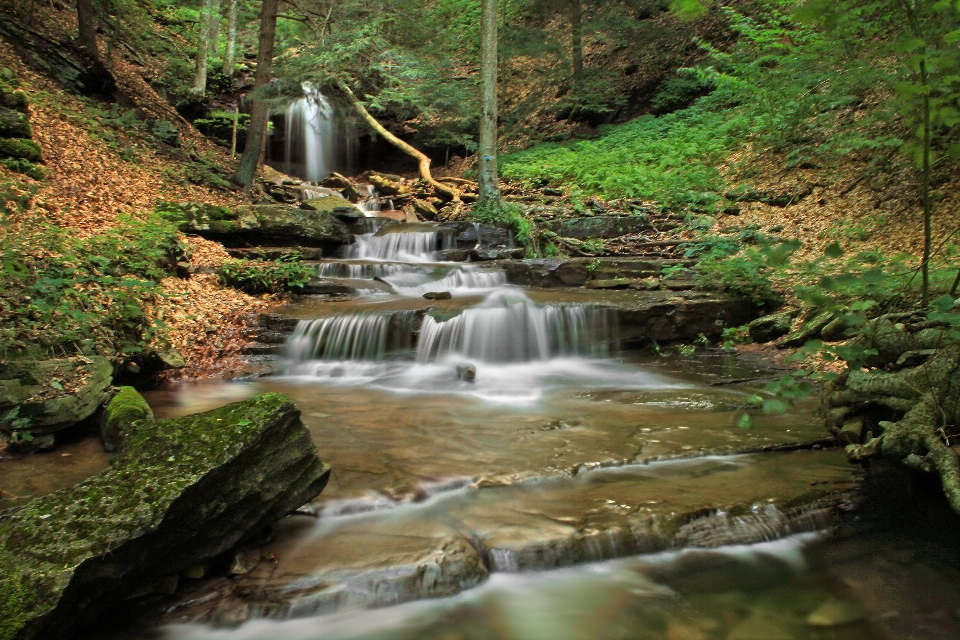 Agua naturaleza bosque cascada