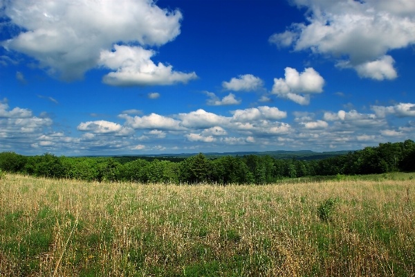 Landscape nature grass horizon Photo