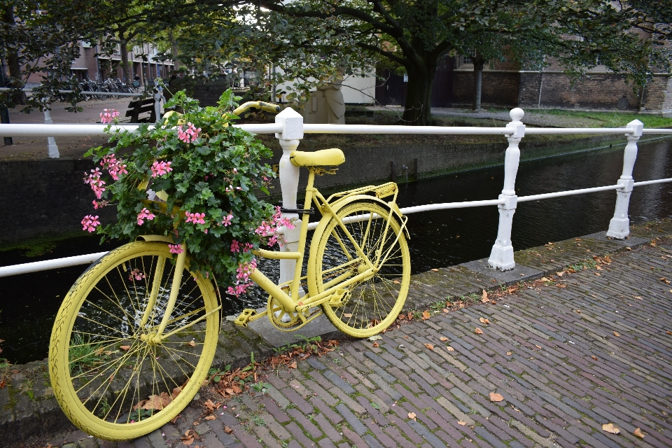 Agua rueda flor bicicleta