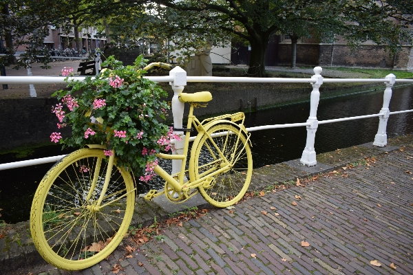 水 車輪 花 自転車 写真